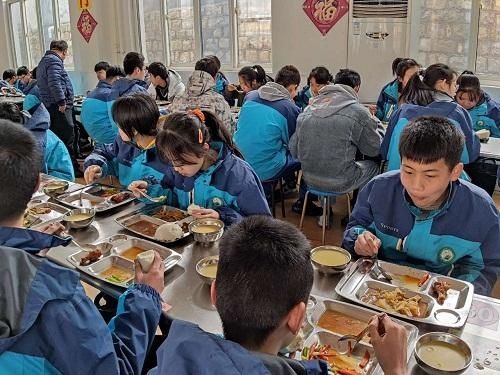 护航开学 食安先行｜博山区中小学做好开学营养第一餐