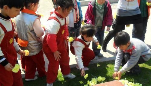 坦言|幼儿园老师坦言别让孩子穿这3种衣服来上学,好看却容易出问题