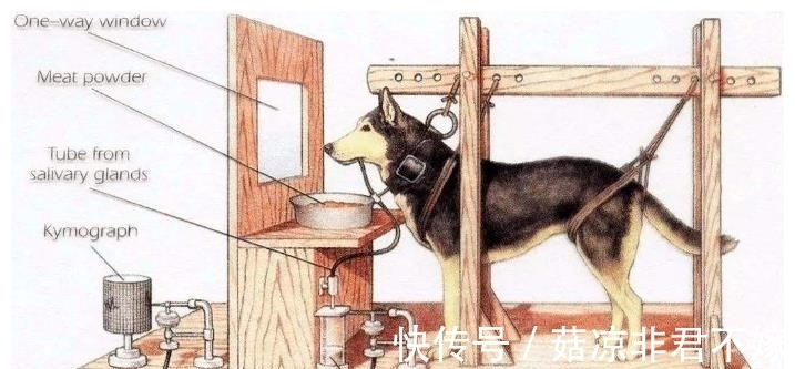 华生|用9个月婴儿实验,他的教育方法坑害千万孩童,如今竟在中国流行