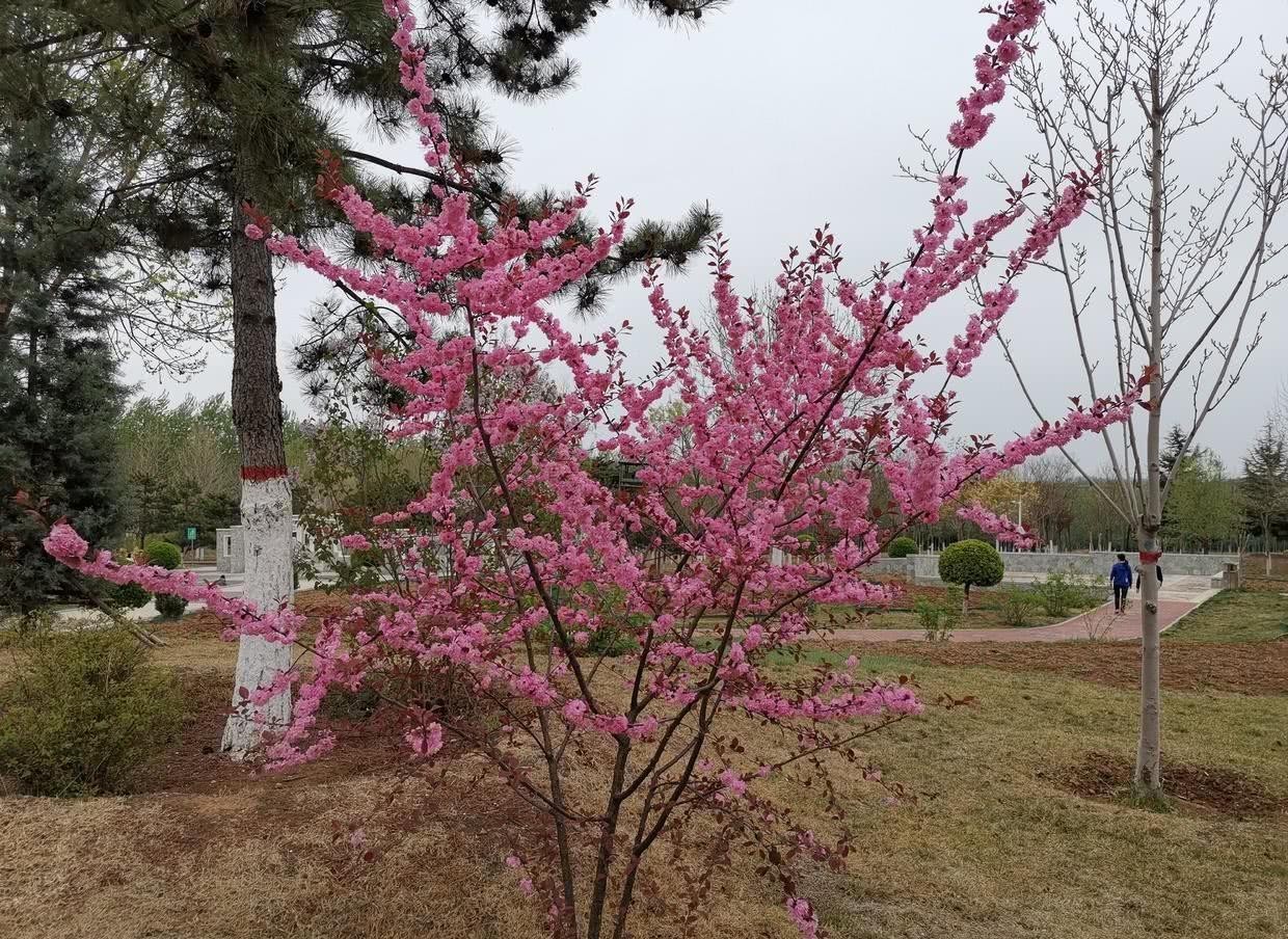 指责|曾国藩:面对别人的指责和议论,要做到有则改之,无则加勉