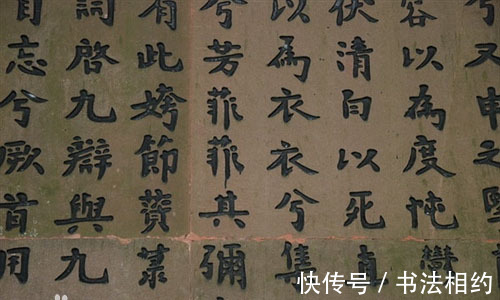 字迹#毛主席“魏碑体”楷书你见过吗?道劲隽逸,不愧为10大杰出书法家