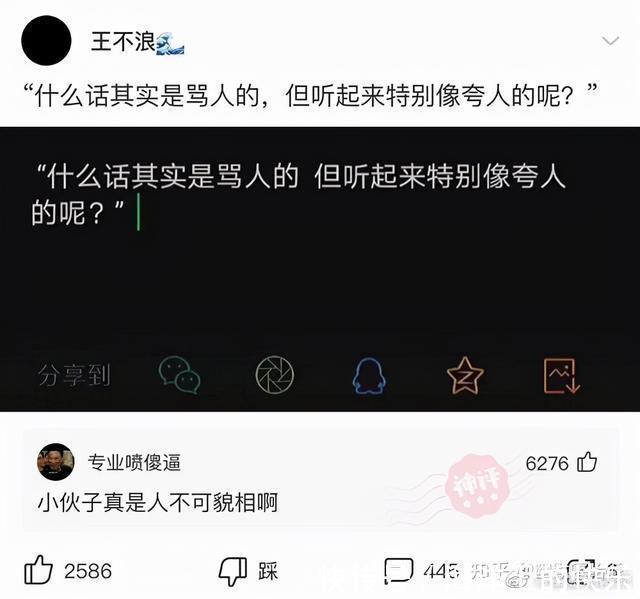 |开心一笑,爆笑图片段子:快睡觉!大晚上我上哪儿给你找公猫去