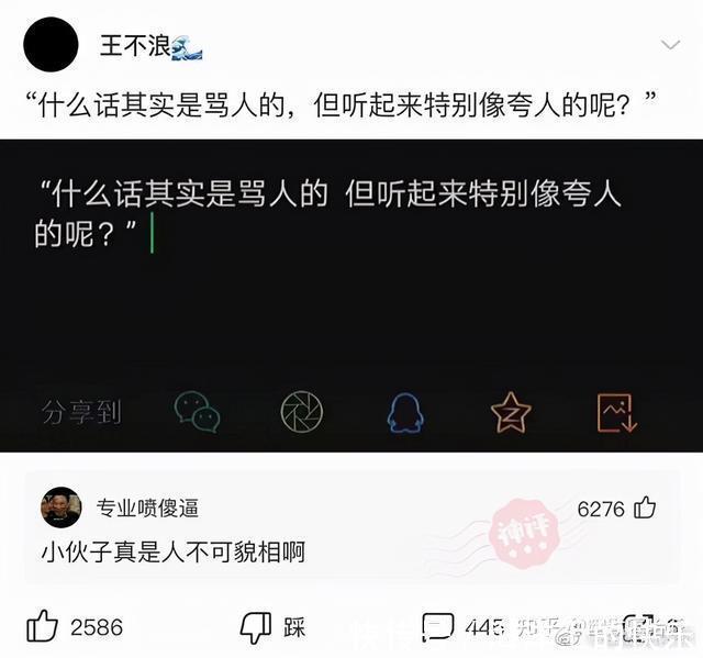 |开心一笑，爆笑图片段子：快睡觉！大晚上我上哪儿给你找公猫去