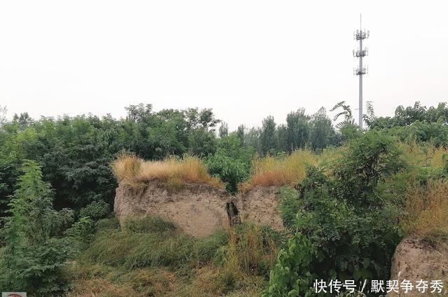 满目荒凉的藁城台西遗址曾有重大考古发现