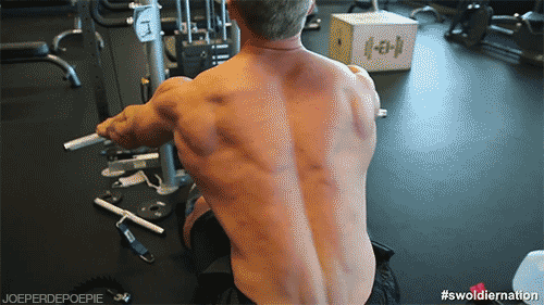 跑步机|你在健身房最真实的样子，被我拍到了！