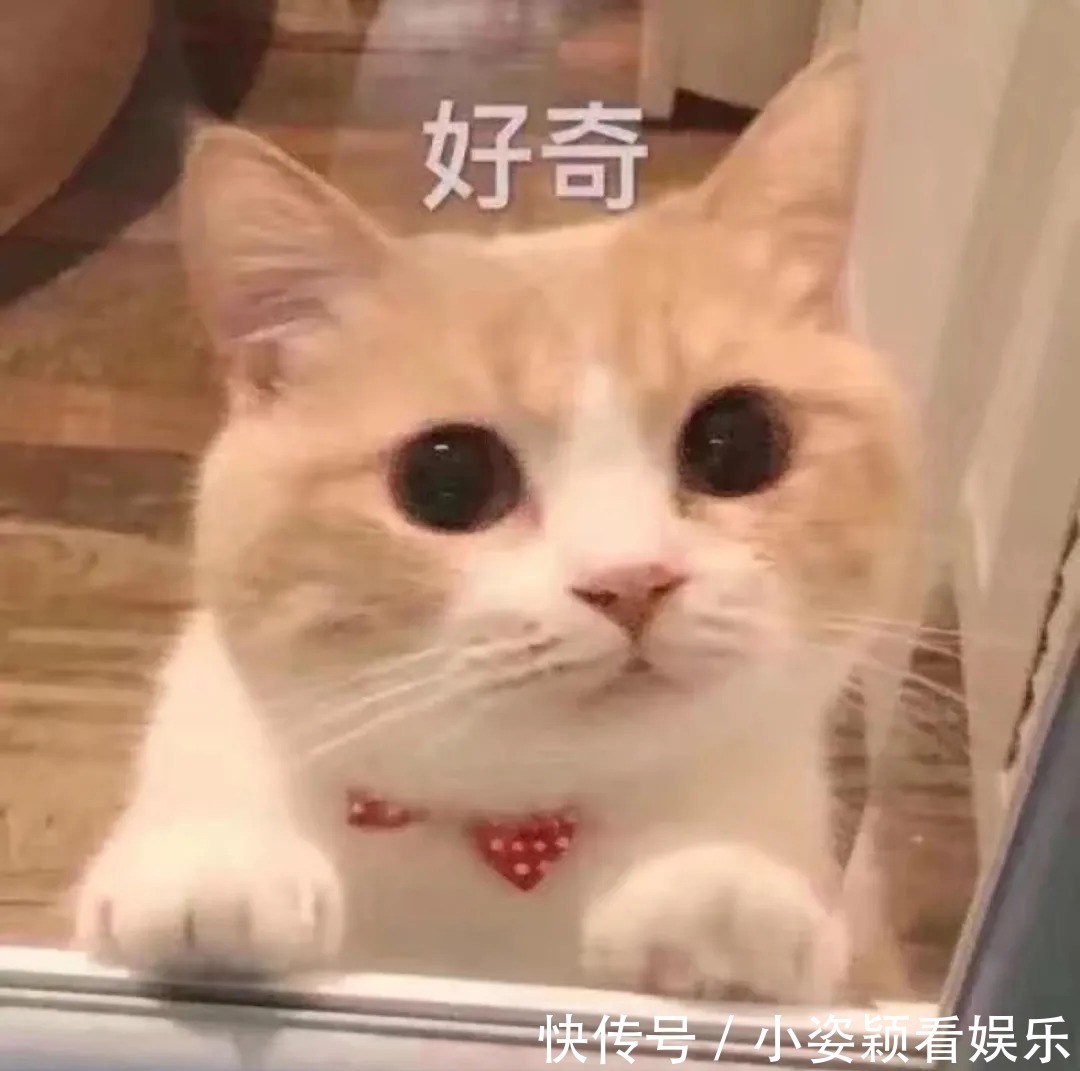 甜妹|今夏最 in 发型,你会 pick 哪一款?