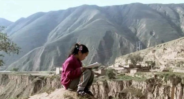 阅读|哈佛大学研究发现:孩子大脑发育的最佳方法,不是阅读,而是游戏