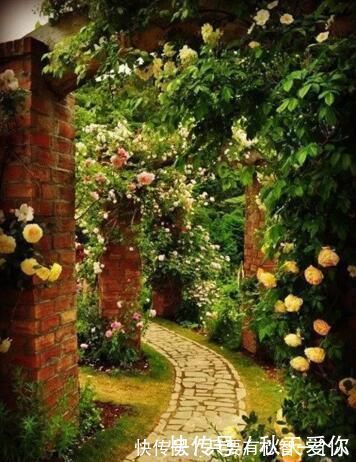 案例|10套实景别墅庭院设计案例,每一款都好想搬回家!