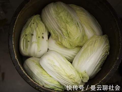冬天|腌酸菜不要只知道加盐,牢记3个关键,酸菜又酸又脆不腐烂