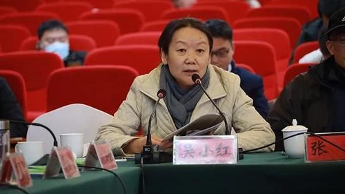  调研|国内众多顶尖考古专家齐聚淮阳时庄遗址现场调研及学术研讨