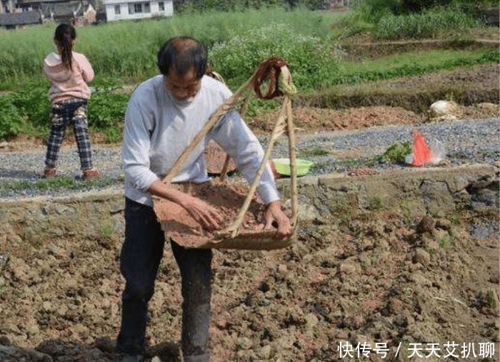 俗语:“一年两个春,带毛的贵如金”有道理吗?老祖宗来告诉你
