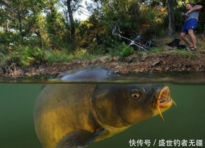 野钓必学的8个秘诀,照我这样做,每次钓完美滋滋——盛世三渔