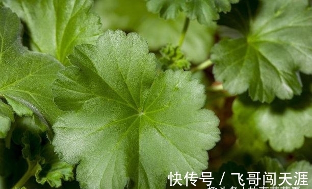 迢迢|7天后，旧爱相望，生意大火，前路迢迢，旧爱回归，余生不会放弃