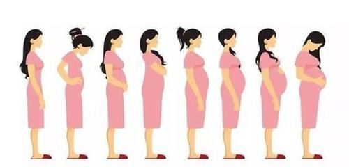 怀孕|为什么有人怀孕的时候肚子大，而有人怀孕的时候肚子小？