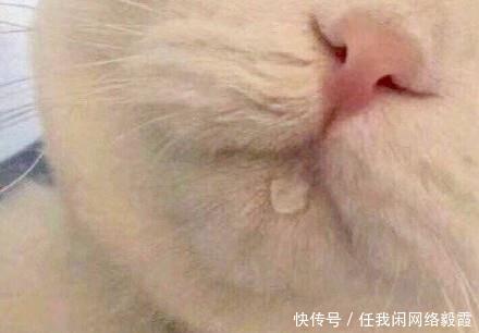 好吃|网上“零差评”的5种零食,好吃解馋又饱腹,大人小孩都爱吃!