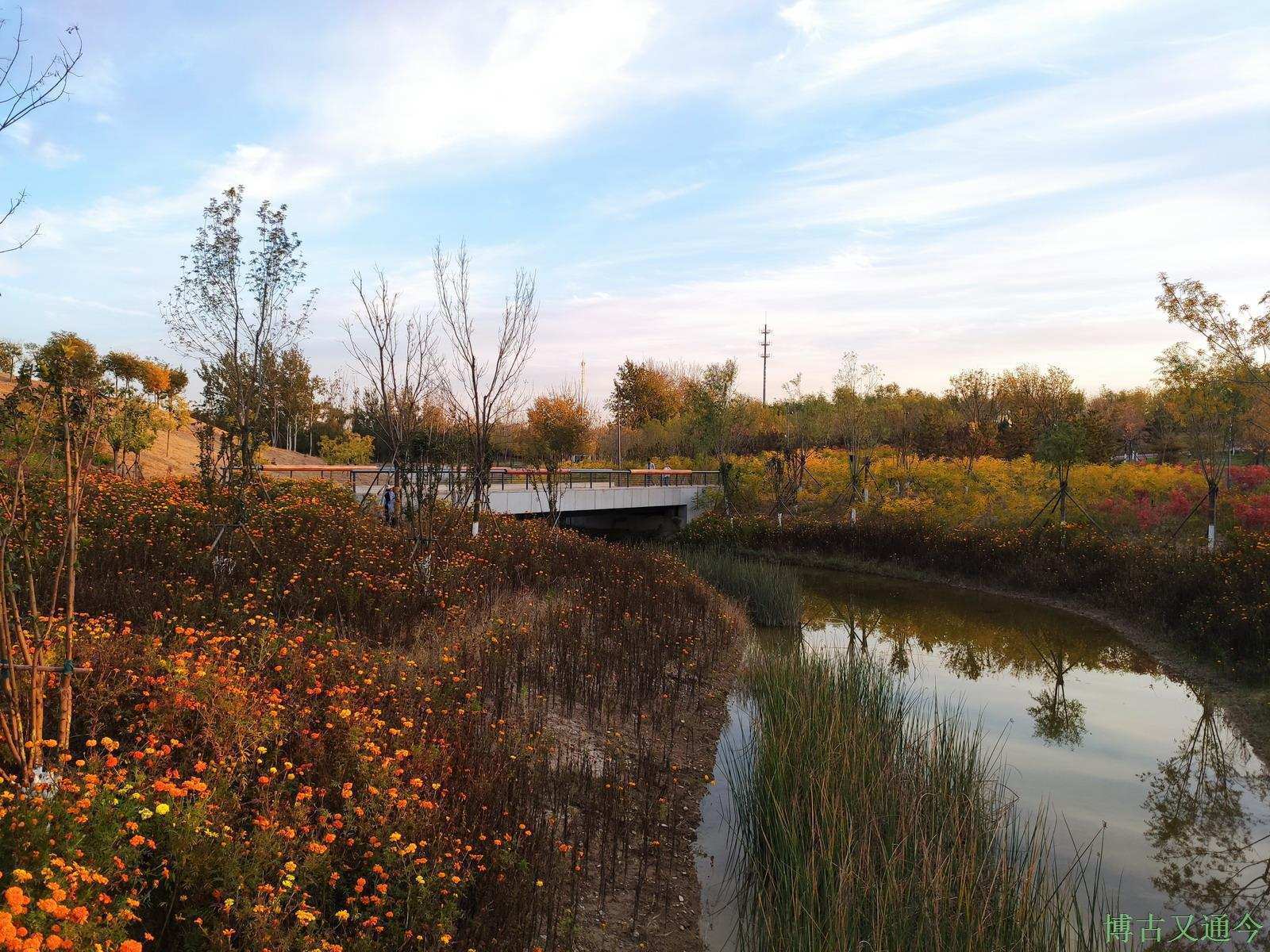 灭亡|夕阳下的温榆河示范区东园(下),看火星般颜色的日落