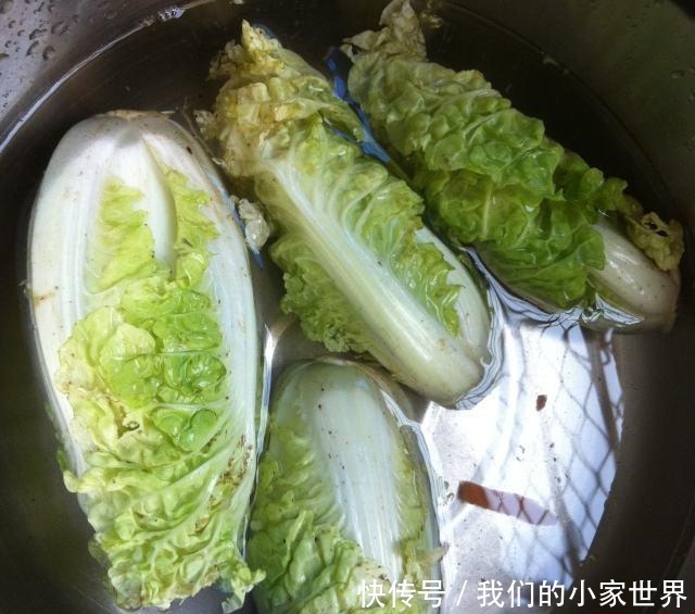 自制家庭版锅贴,不活面不擀面,皮薄馅大还多汁,学会都能开店了