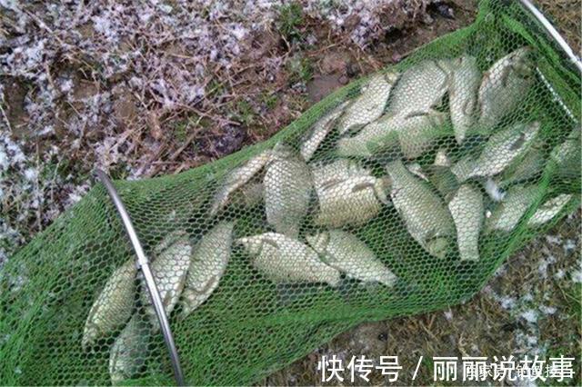 秋冬季节钓鲫鱼,气温低鱼口轻,别用搓饵和拉饵,上饵用这种手法