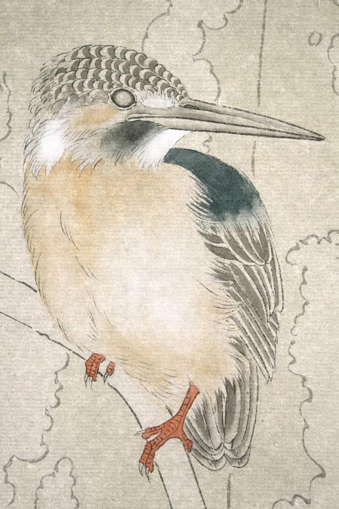  分染|龚雪青《翠鸟》设色步骤