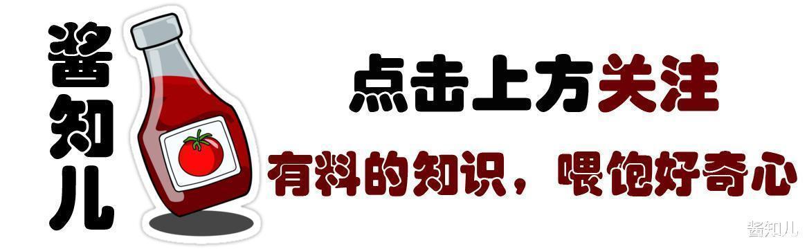 葡萄酒的“黑历史”如果不加防腐剂，就是一瓶醋