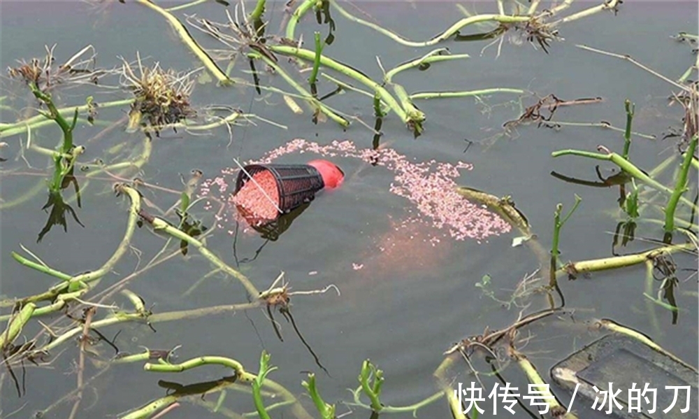 冬季钓鱼,上几条鱼就停口?是打窝之后少了一步,这步骤冬季独有