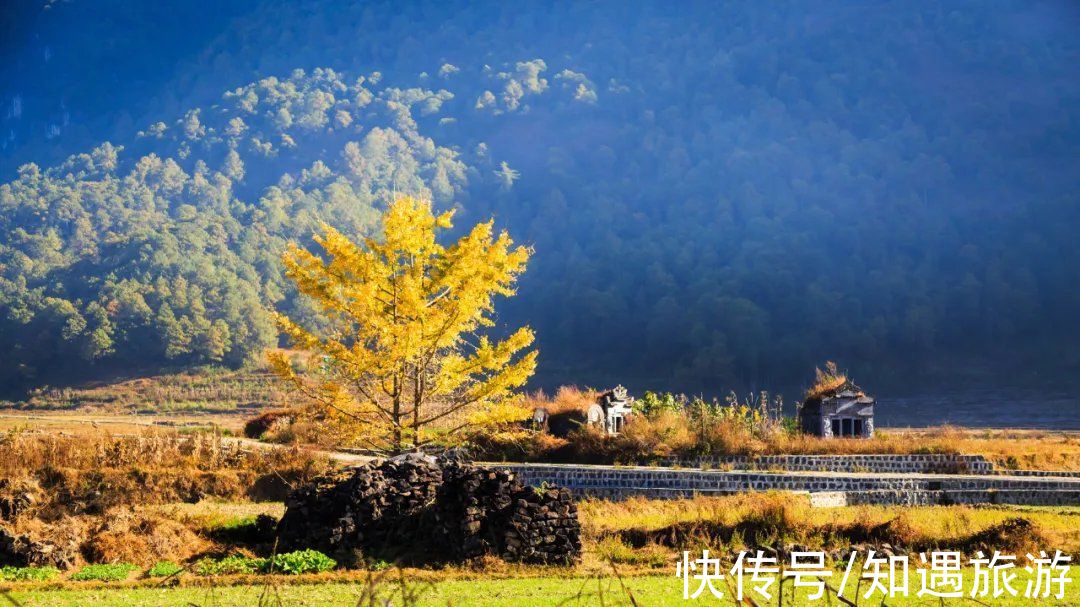 自驾|最值得一去的6处秋景，太美了！短暂的秋季美好，千万别错过