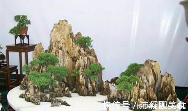 怎样才能修饰出更显自然的山水盆景