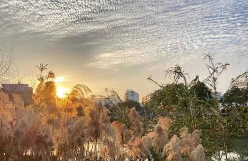 老年|美上了天！福州云彩刷屏了