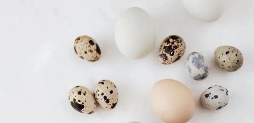  就可以|孩子吃鹌鹑蛋比吃鸡蛋好？千万警惕这点！
