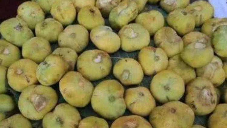 食物|胃病三分治七分养,3种养胃食物每天换着吃,远离胃病没烦恼!