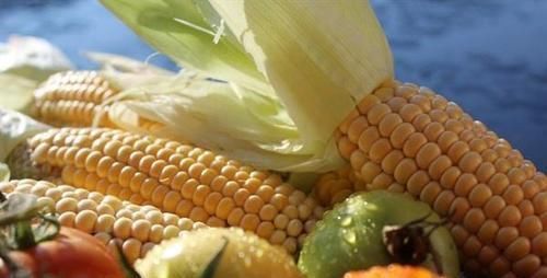 卷心菜|人到中年想长寿,不妨多吃3种食物,治疗便秘,早吃早好