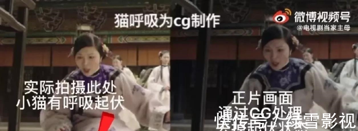 因?yàn)橐粓?chǎng)戲沒了一個(gè)動(dòng)物！這5部戲被打差評(píng)、遭吐槽，真是不冤