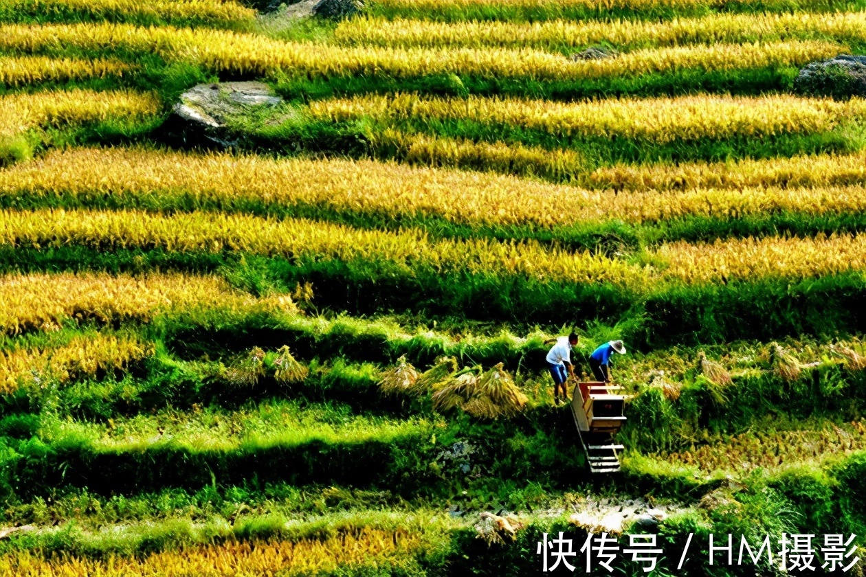 遂川|世界十大最美梯田之一，四季皆景——遂川桃源梯田