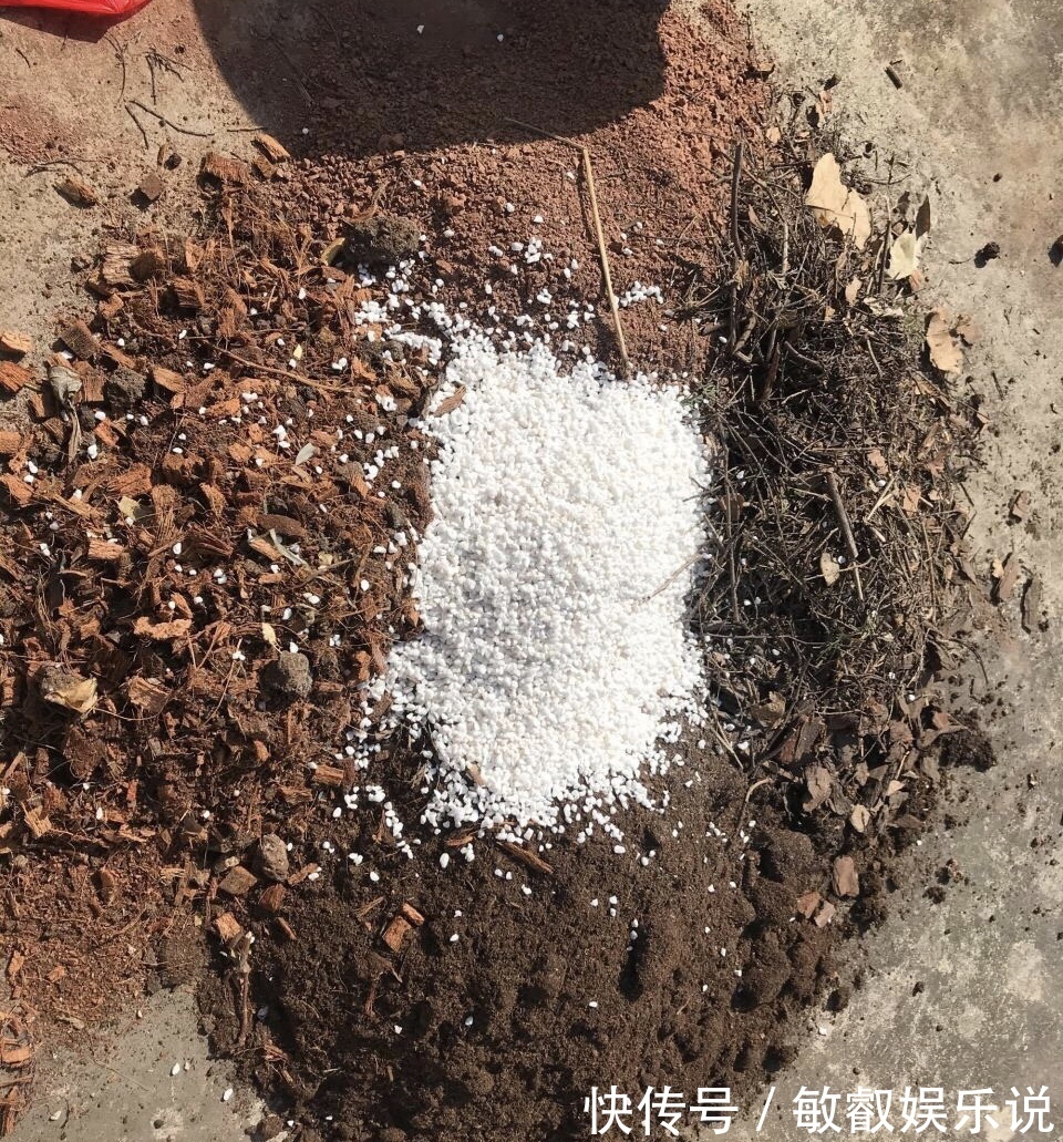 养花“杀手”都有的5个毛病,难怪买花“养1盆死1盆”,要改正了