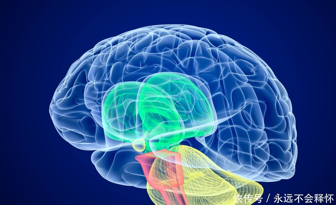 脑梗怎么办?内科医生提醒:做好3件事,脑梗慢慢好