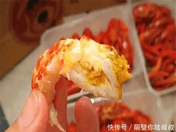 广告开服福利，上古神兽免费送，点击即享VIP20！！