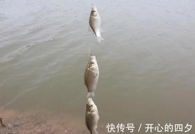 渔具|株洲集中销毁违规渔具，用挖机碾压，有人看到了自己的鱼竿