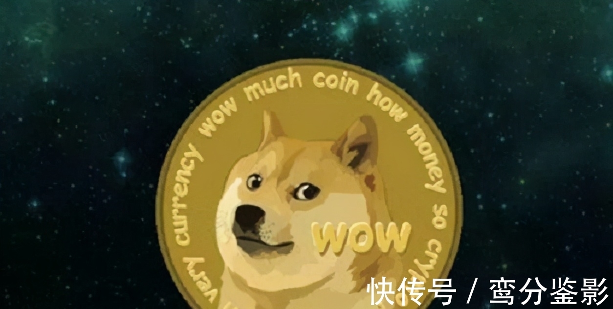 狗狗币|马斯克一句话定涨跌，币圈为何如此魔幻？