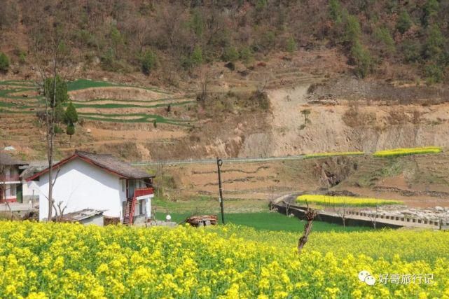 美丽的山城略阳，油菜花开了，一起相约赏花去