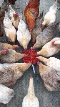 |搞笑GIF趣图： 吓我一跳，其实我第一眼没看出来