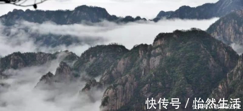 诗人|王维这首诗写得生动有趣，把日常生活中的细节，描写得活灵活现！