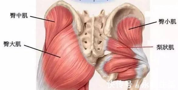 p越南女老师,大长腿搭配迷人曲线,再把臀部训练给到你