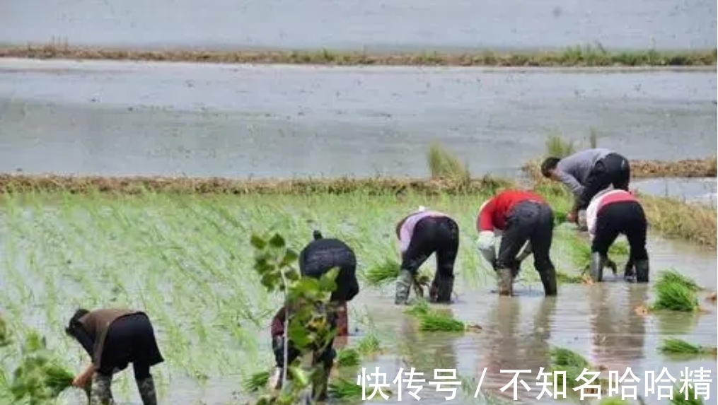 中华民族|“头小定飘蓬,脚长苦道中”,人的命运福气都可以从长相中看出来?