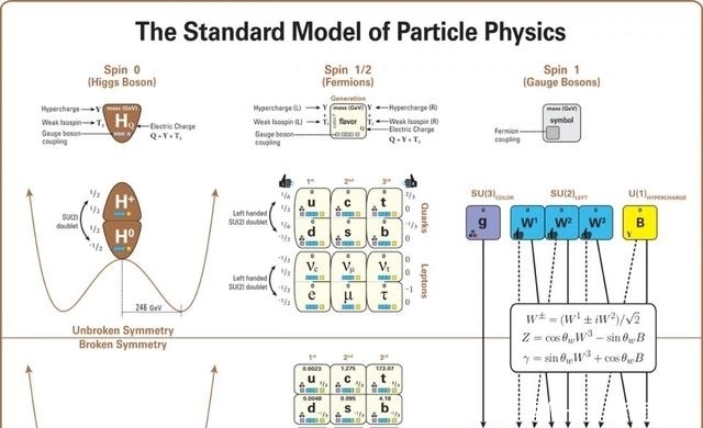 中子和质子的夸克有何不同，中微子双β衰变意味着什么？