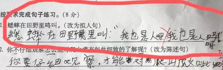 小学生的考试答案有多野？