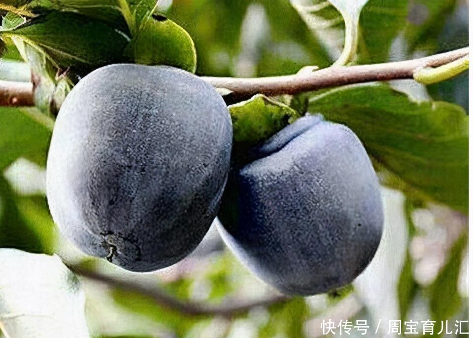 体力|食疗养肾很关键,晚上吃3种食物,体力会变得更好