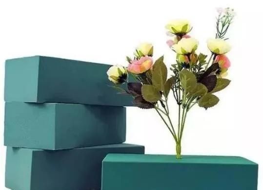 垃圾分类家中绿植垃圾分类我到底是个什么垃圾