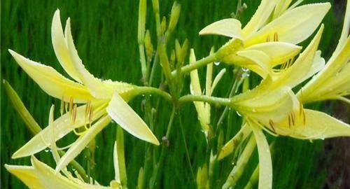 女性不想满脸皱纹，推荐多吃3种食物，养护血管，有益健康！