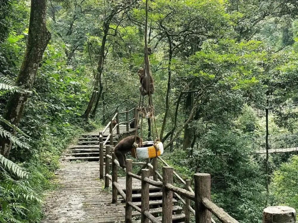 世界那么大，到峨眉山滑雪去！