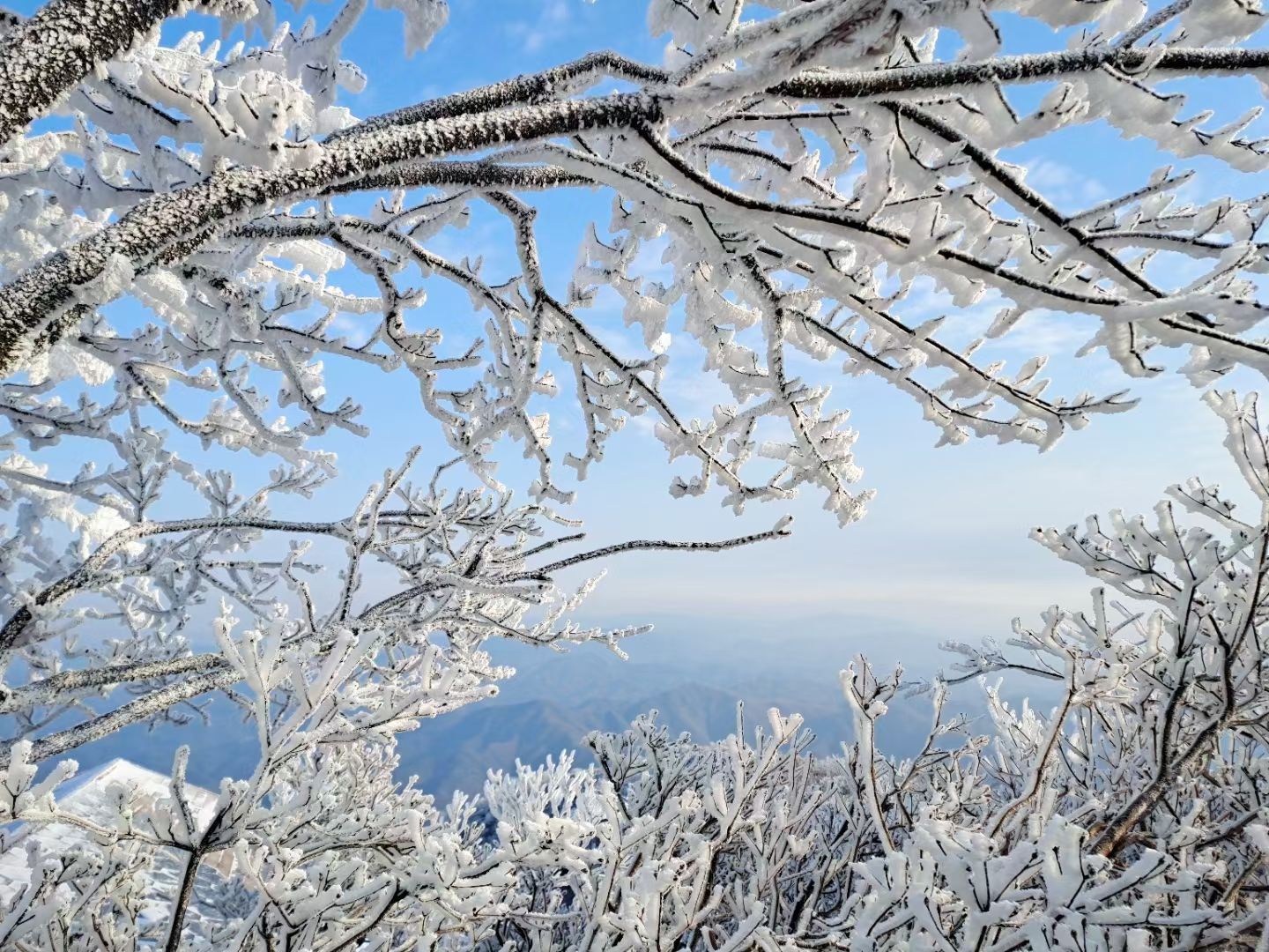 初雪|余杭初雪已发货，超美雪景请查收！